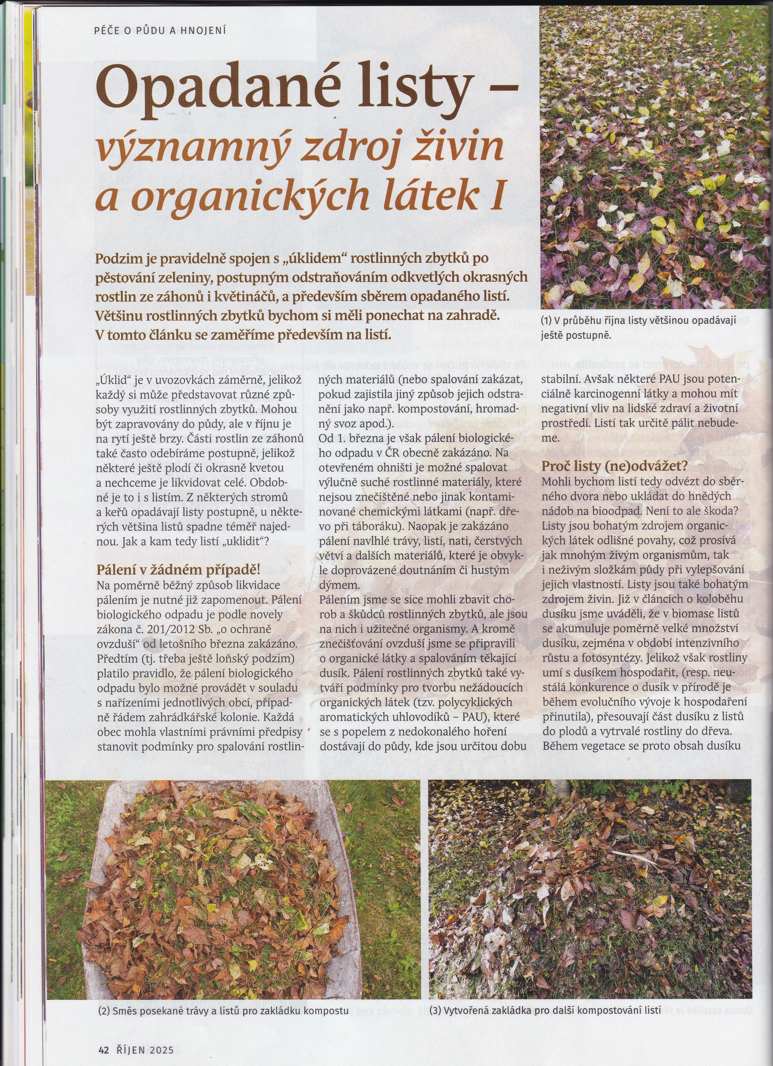 10 spadané listí 1