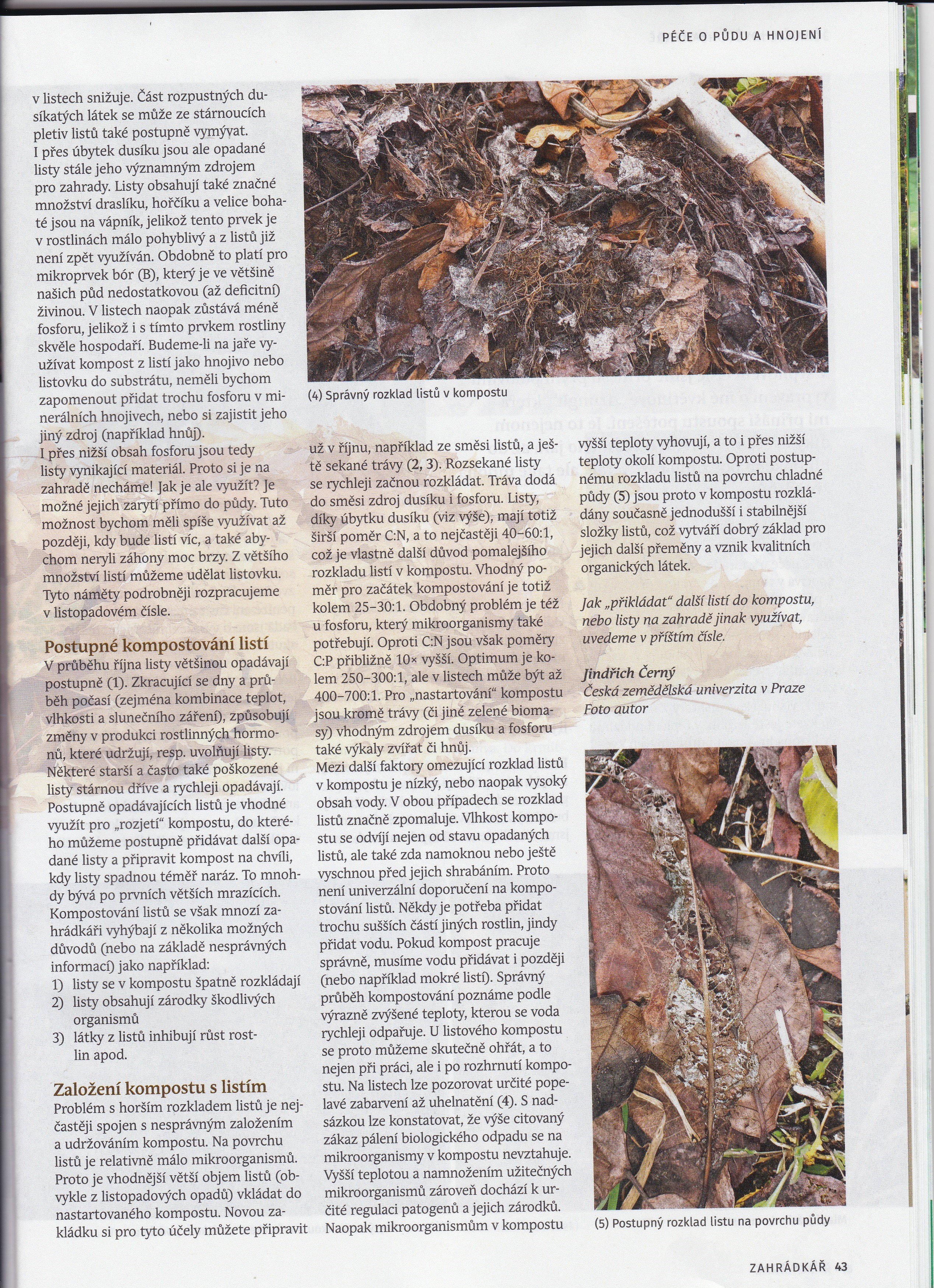 10 spadané listí 2